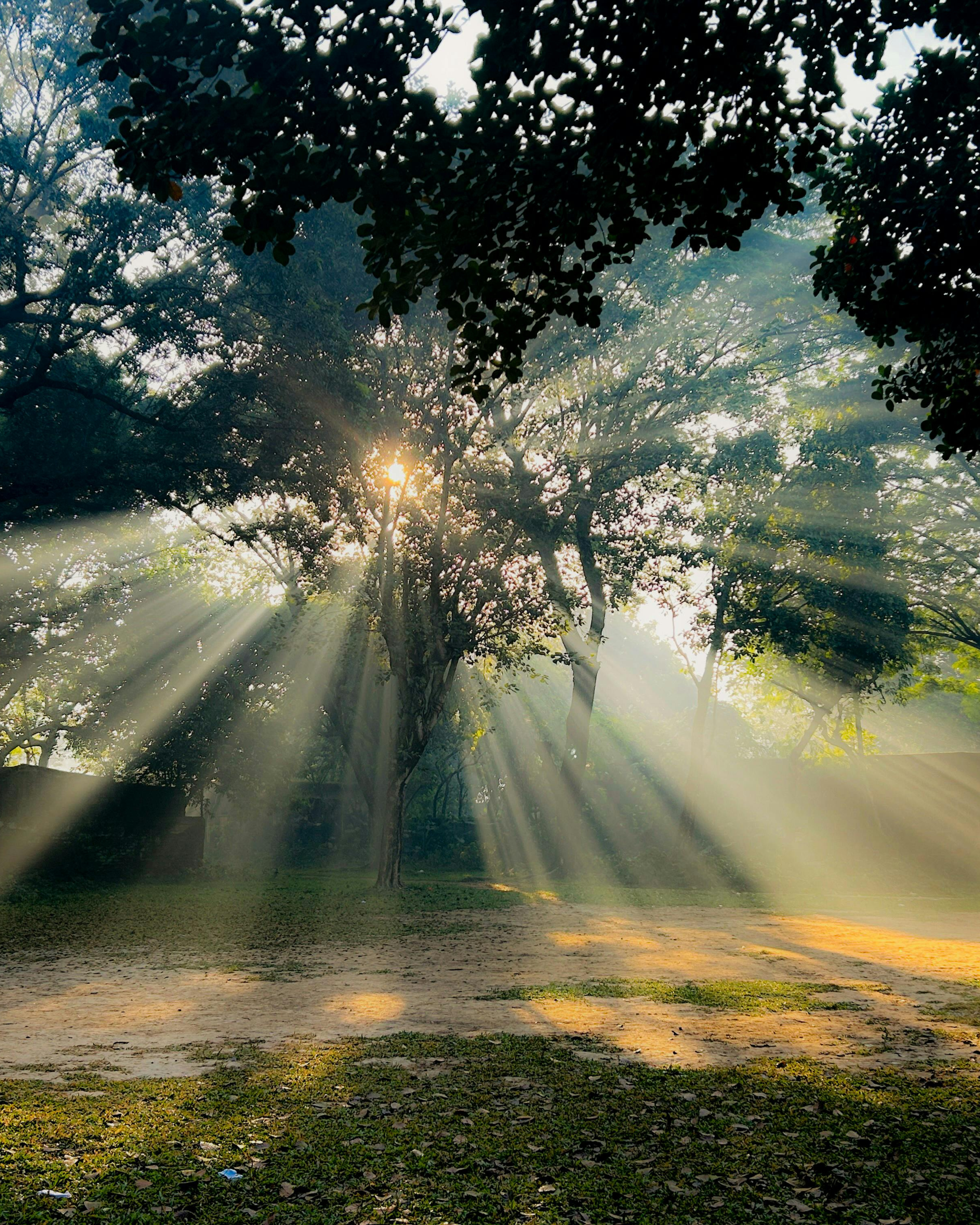 Naturaleza